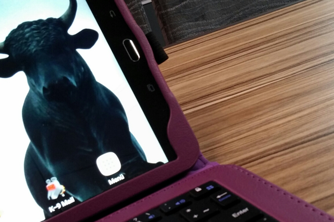 Nahaufnahme eines Netbook-Bildschirms auf dem als Hintergrundfoto die Silhouette eines Stieres, der in die Kamera schaut, zu sehen ist. Darunter ein paar Tasten des Keyboards in einer lila Hülle. Die rechte Hälfte des Fotos ist die Platte eines Holztisches.
