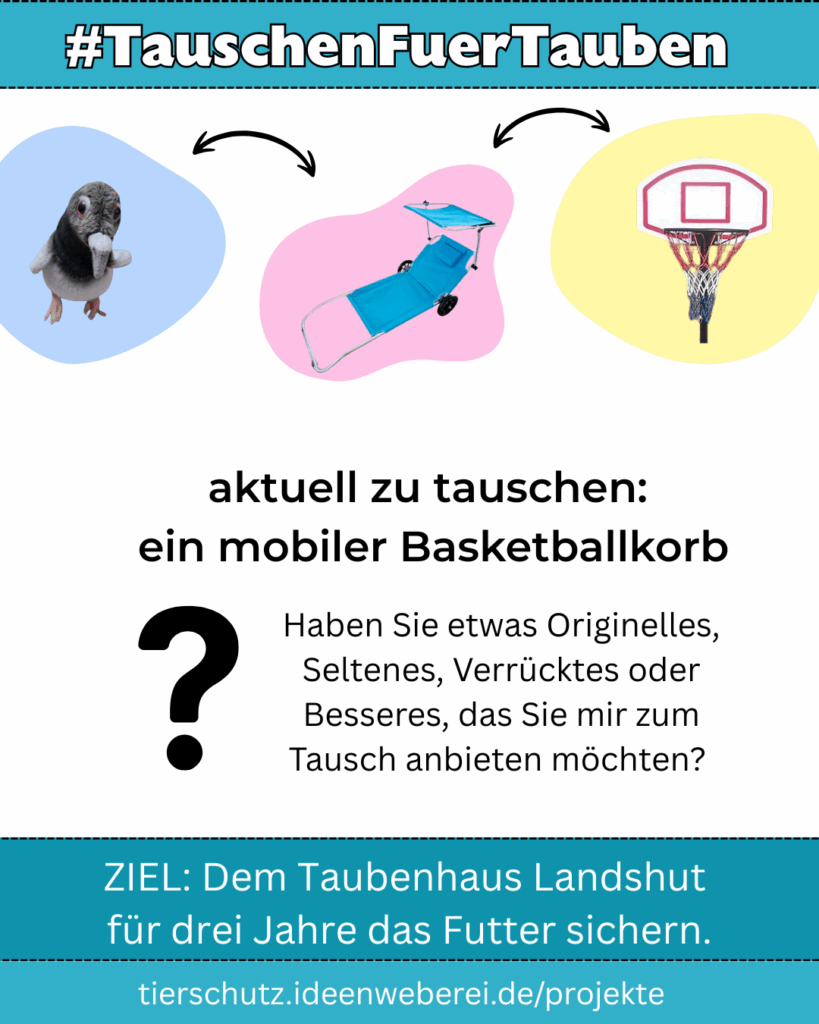 Eine Grafik mit der Überschrift #TauschenFuerTauben, die türkisgrün hinterlegt ist. Darunter auf weißem Untergrund drei verschiedenfarbige Flecken, auf denen jeweils die Tauschobjekte zu sehen sind: Links oben beginnt es mit einer Stofftaube auf blauem Hintergrund, daneben ist eine Sonnenliege auf einem rosanen Farbfleck zu sehen und daneben ein gelber Fleck mit einem Basketballkorb. Dazwischen ist jeweils ein Doppelpfeil zu sehen, der einen Tausch symbolisiert. Darunter steht in groß „aktuell zu tauschen: ein mobiler Basketballkorb“ und darunter links ein großes schwarzes Fragezeichen, daneben der Text: „Haben Sie etwas Originelles, Seltenes, Verrücktes oder Besseres, das Sie mir zum Tausch anbieten möchten?“ Unten auf der Grafik ist wieder ein türkisgrüner Hintergrund und folgender Text: "Ziel: Dem Taubenhaus Landshut für drei Jahre das Futter sichern. tierschutz.ideenweberei.de/projekte"