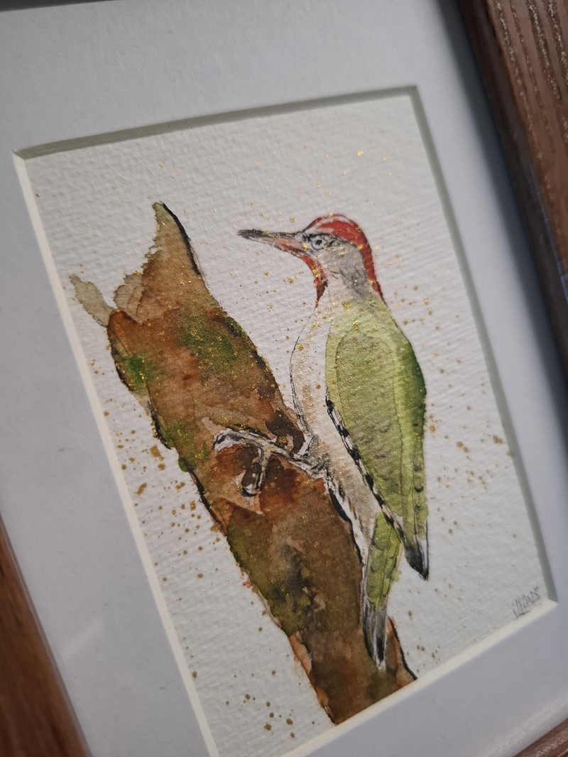 Aquarellzeichnung eines Grünspechts mit rotem Kopf auf einem braunen Ast.
